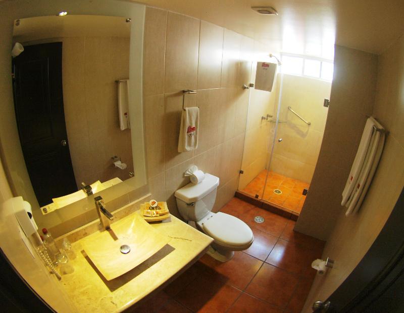 Hotel Roma Guadalajara In Downtown 4*