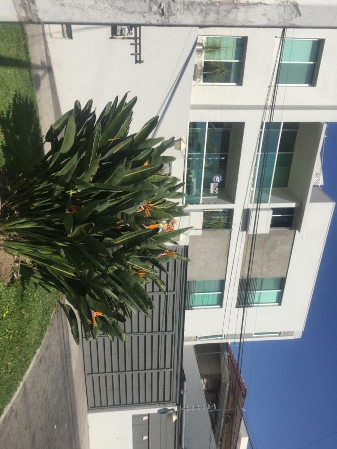 Casa De Horacio1 Hospedagem domiciliar