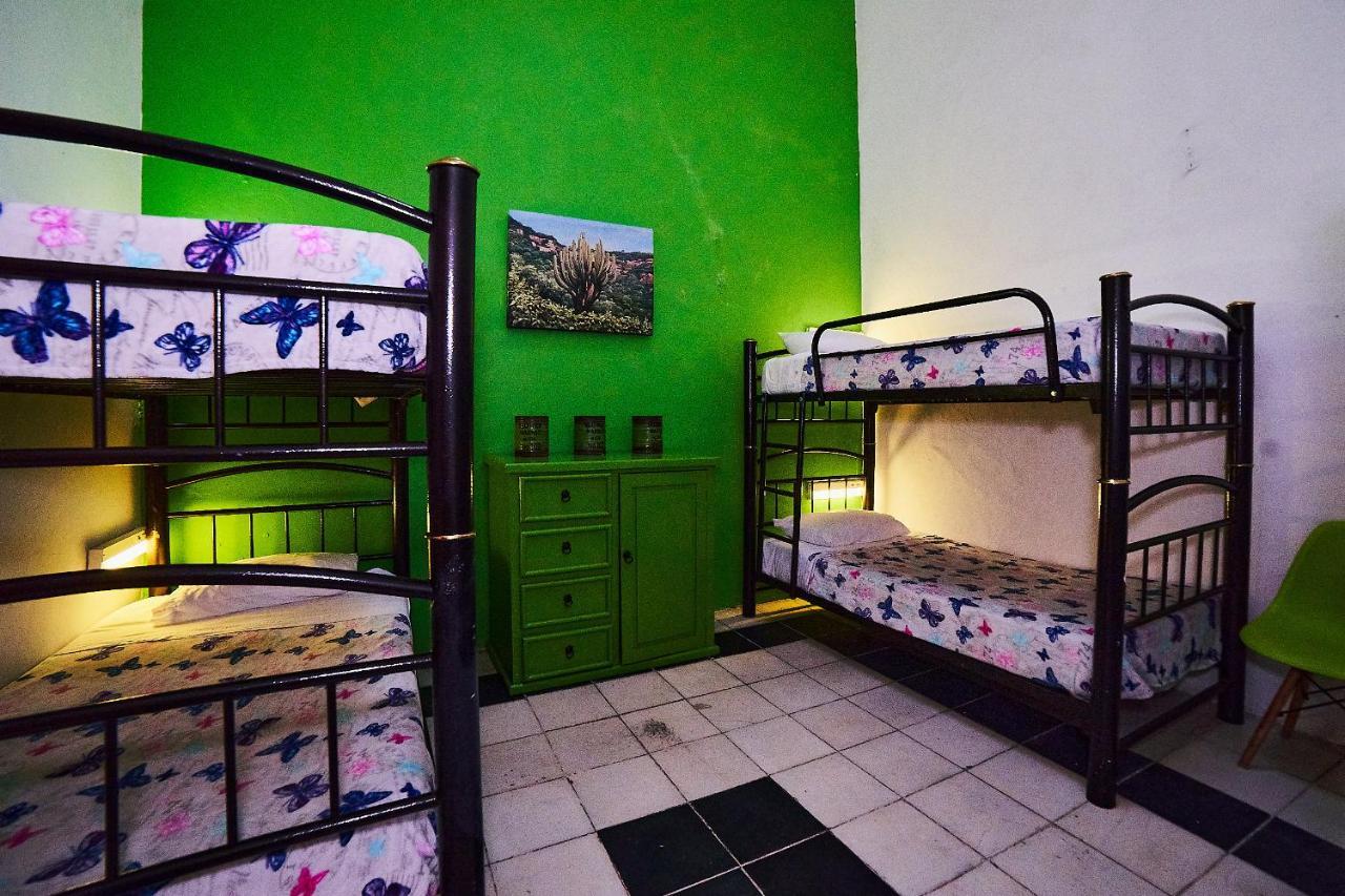 Blue Pepper Coliving Downtown Hostel