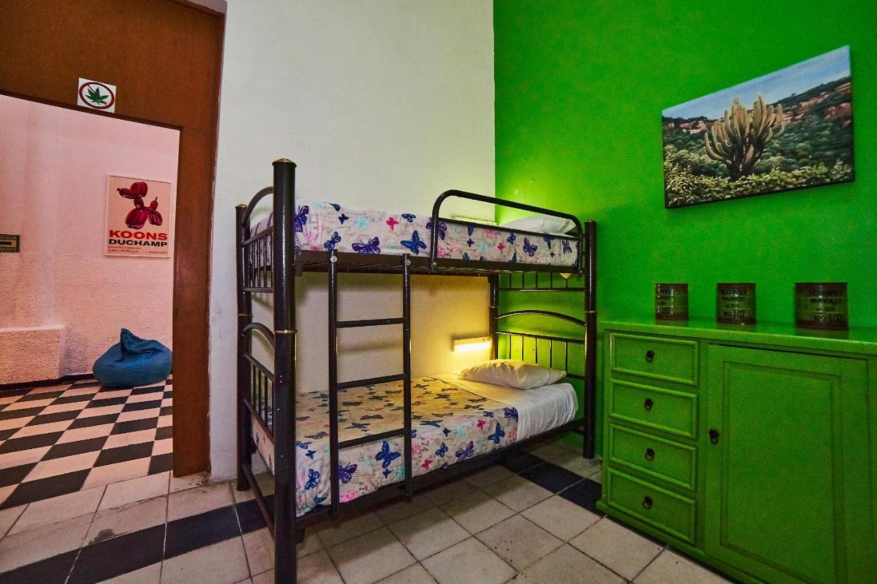 Blue Pepper Coliving Downtown * Guadalajara
