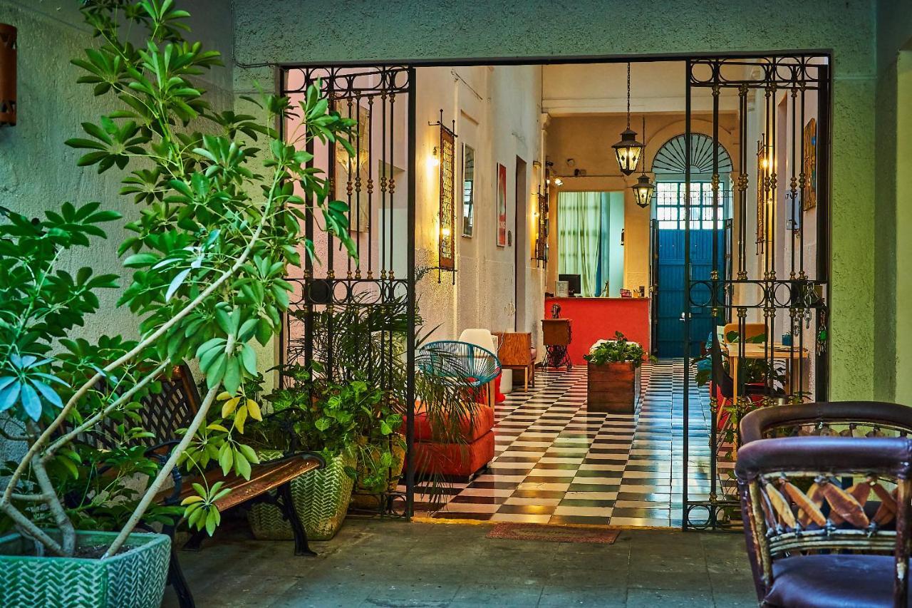 Blue Pepper Coliving Downtown Hostel Guadalajara