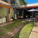Begonias Loft