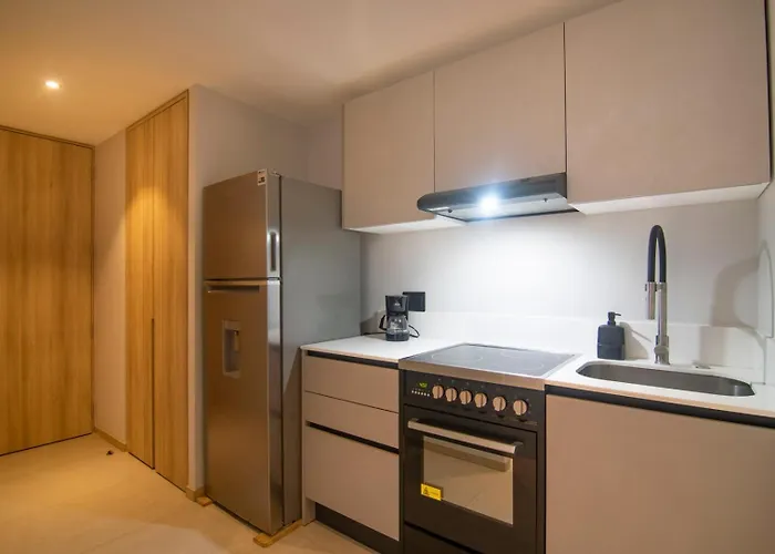 Departamento En Chapultepec