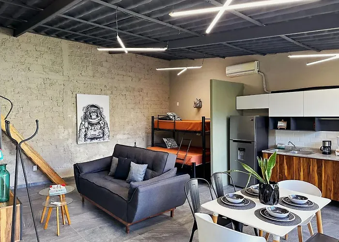 Begonias Loft