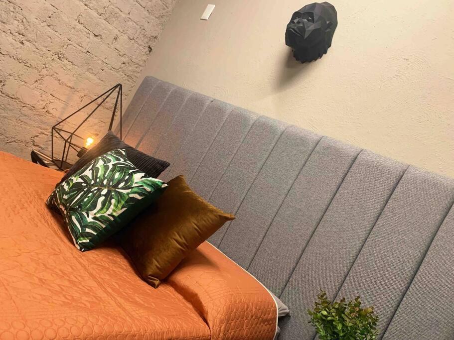 Begonias Loft *