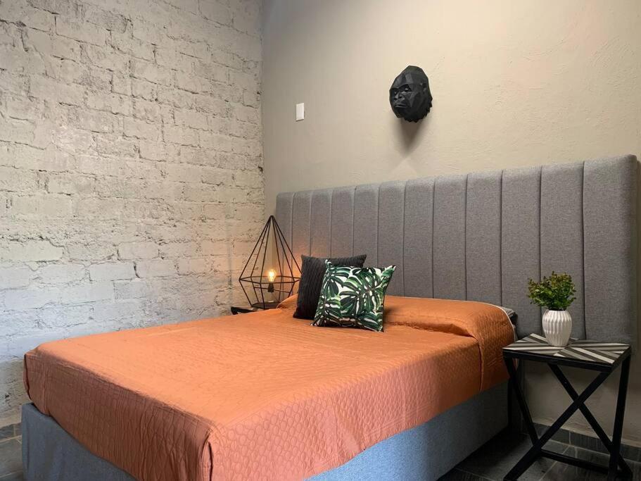 Begonias Loft