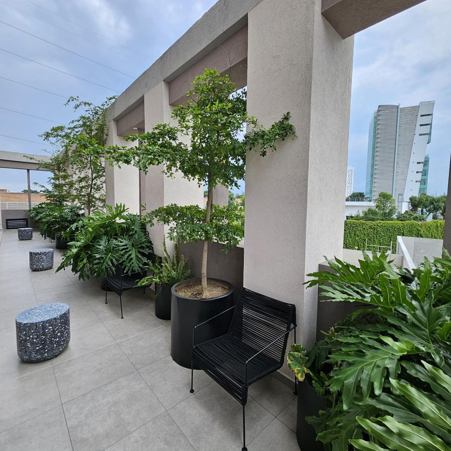 Apartment Lafayette By Mrw Guadalajara