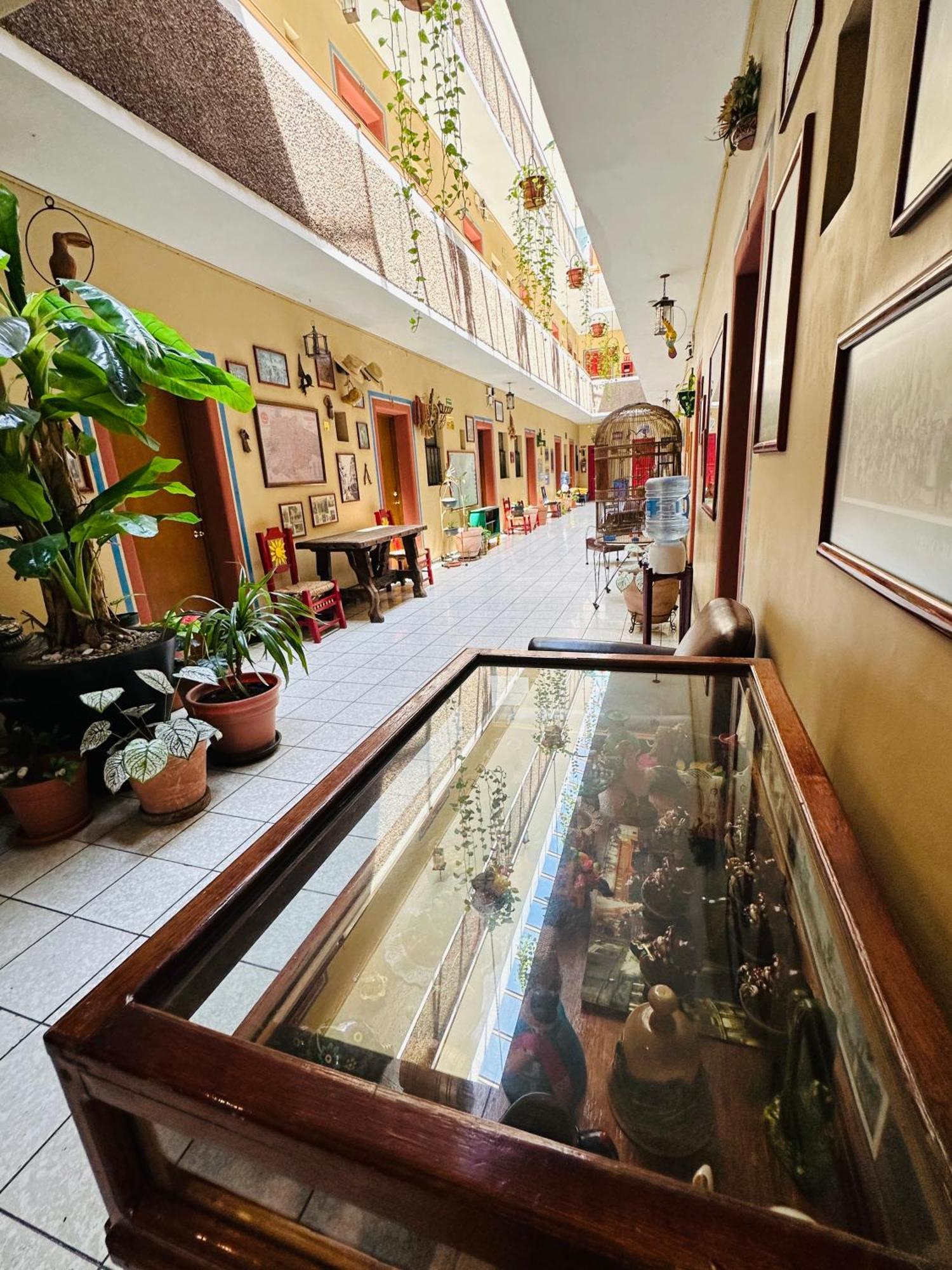 Janeiro Guadalajara