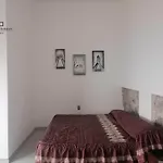 Terraza Lotelazo