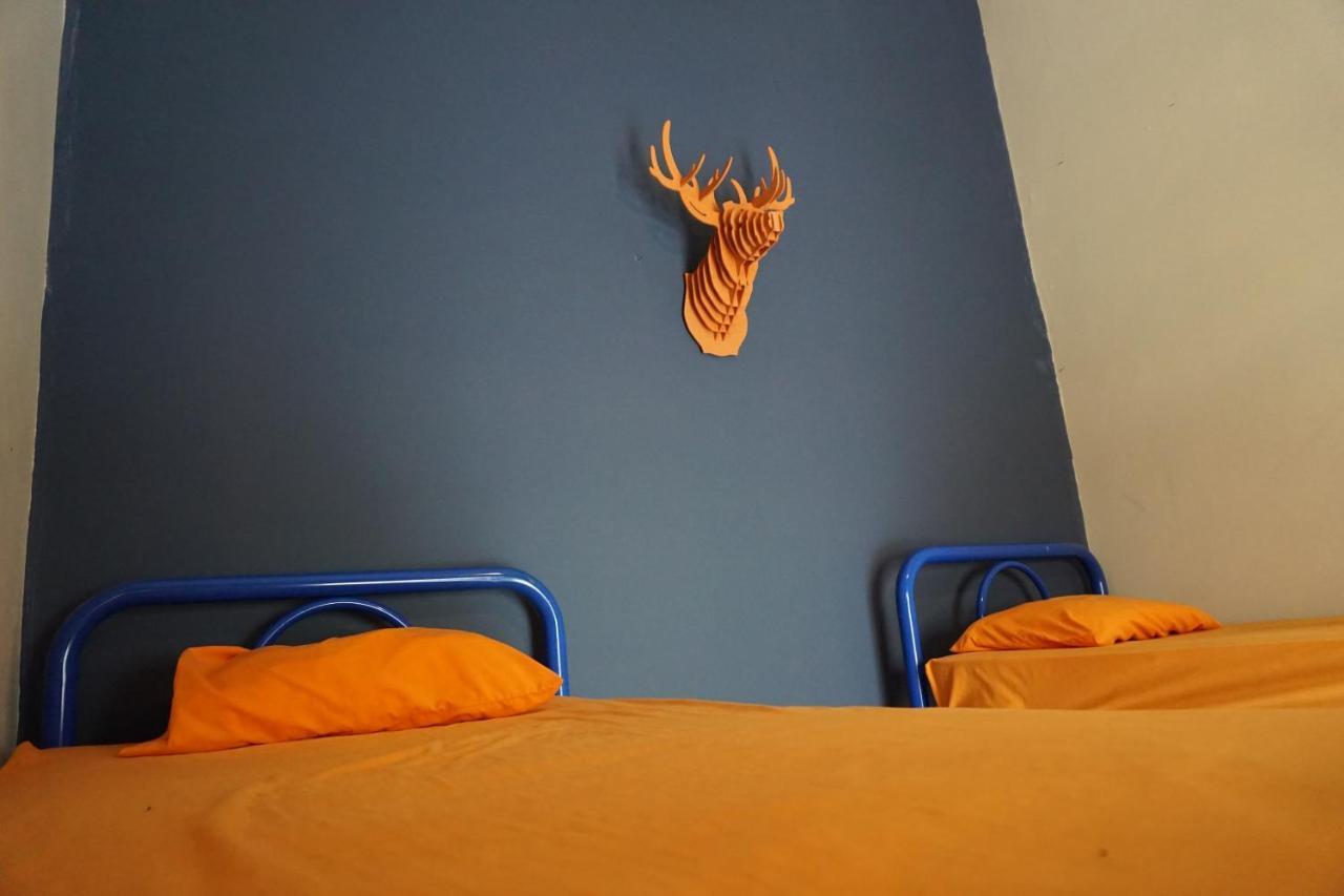 Hostel Blue Pepper Chapultepec Guadalajara