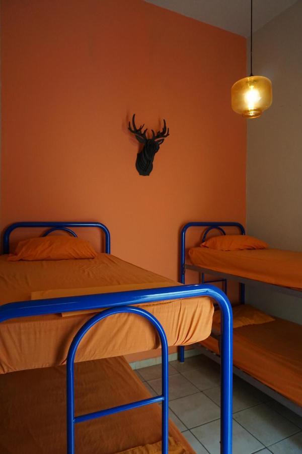 Hostel Blue Pepper Chapultepec *