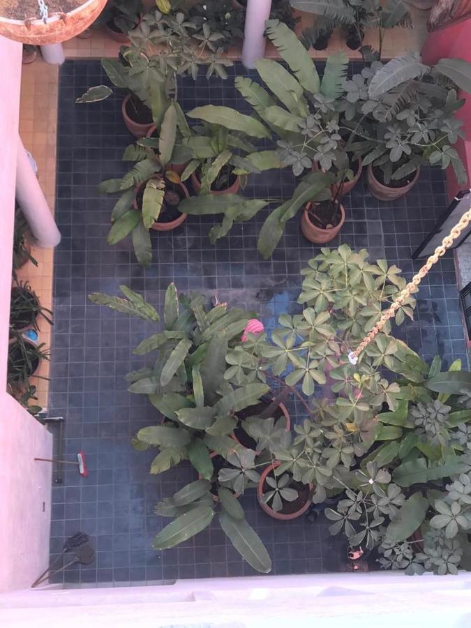 Apartahotel Mesón San Felipe 3*