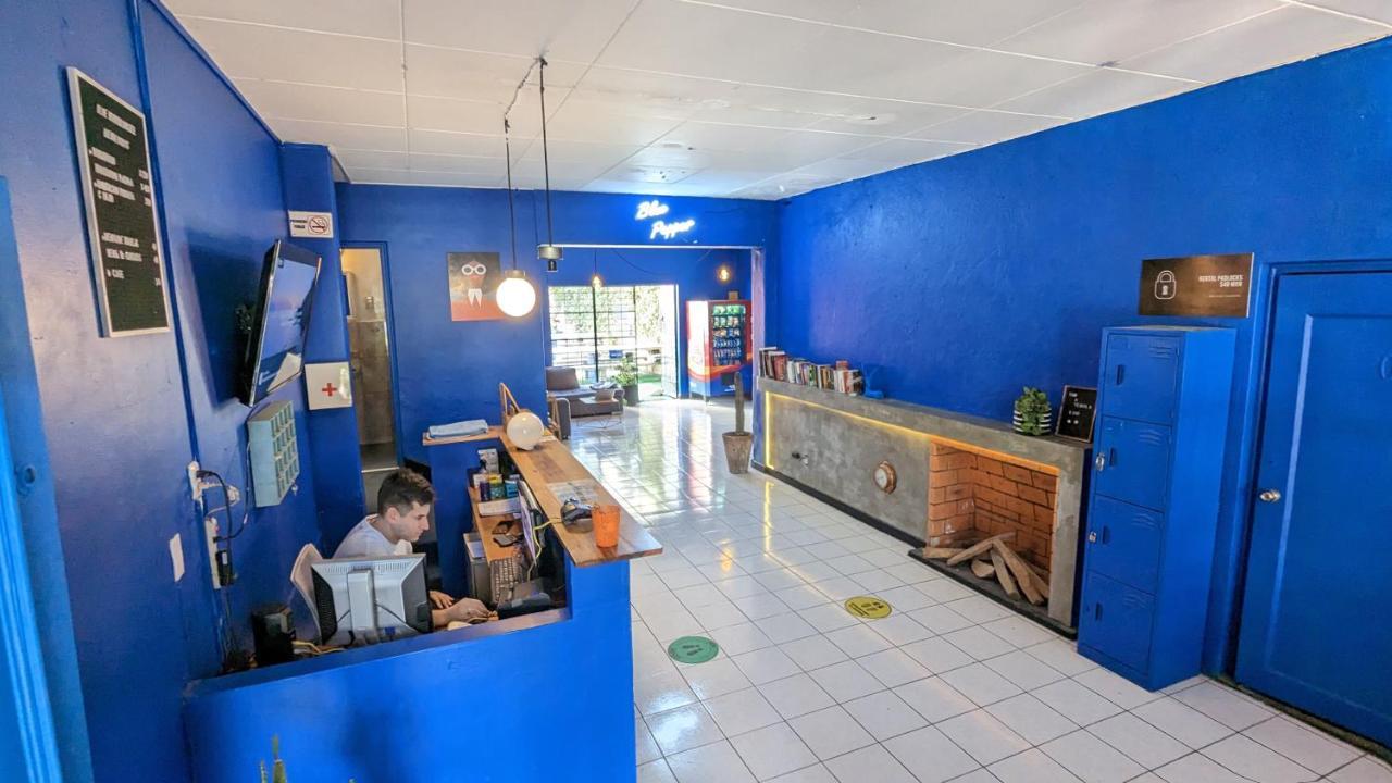Hostel Blue Pepper Chapultepec Guadalajara