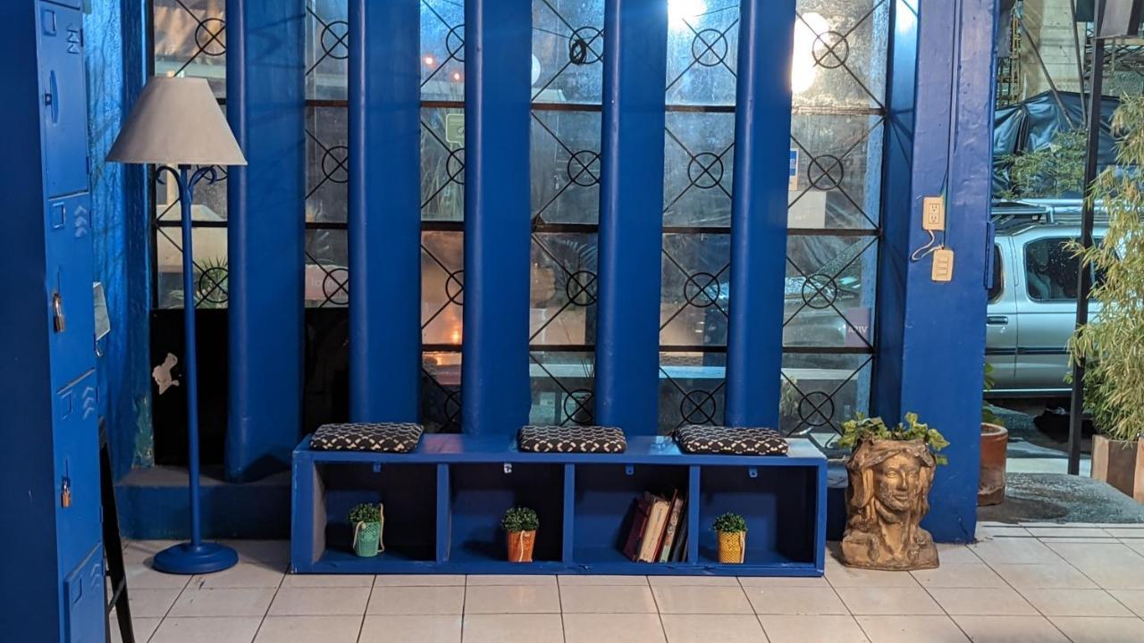 Blue Pepper Chapultepec Hostel Guadalajara