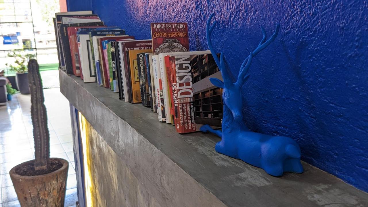 Blue Pepper Chapultepec Hostel