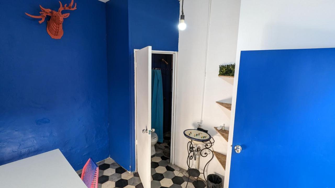Blue Pepper Chapultepec Hostel Guadalajara
