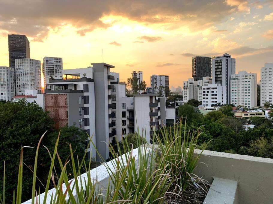 Lujoso En Zona Financiera / Limpieza Diaria Apartment Guadalajara