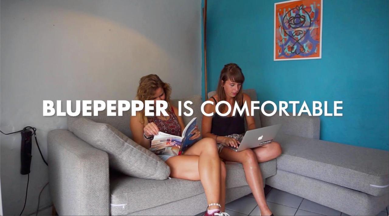 Hostel Blue Pepper Chapultepec